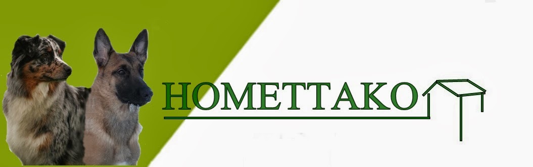logo_homettako